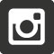 Instragram Icon