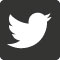 Twitter Icon